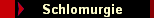 Schlomurgie