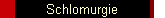 Schlomurgie
